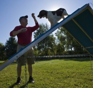 Owner leading dog over A-frame